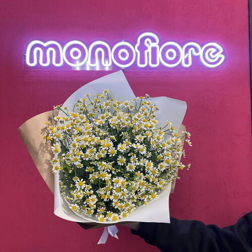 review-photo-before