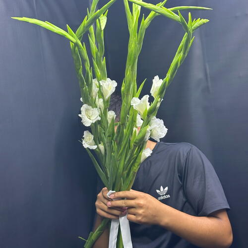 review-photo-before