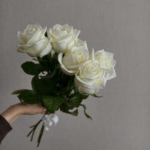 review-photo-before