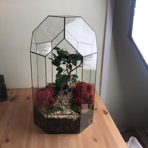 review-photo-before