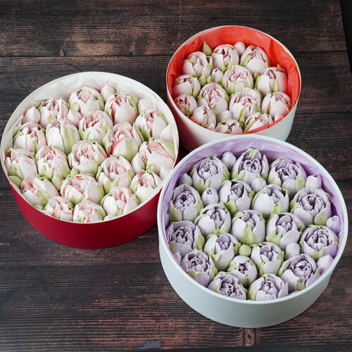 review-photo-before