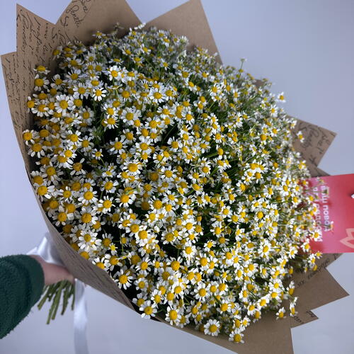 review-photo-before