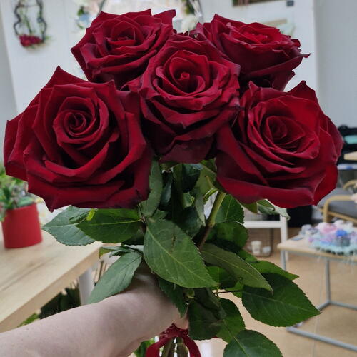 review-photo-before