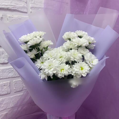 review-photo-before