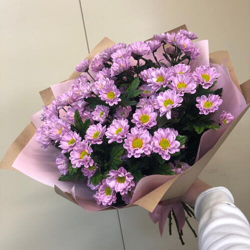 review-photo-before