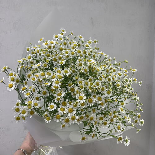 review-photo-before