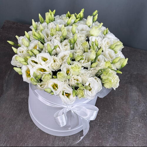 review-photo-before