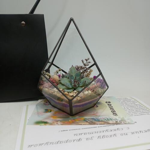 review-photo-before