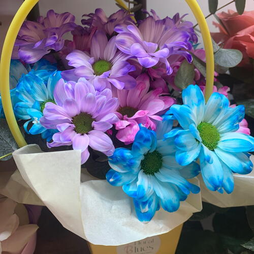 review-photo-before