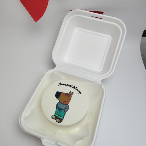 review-photo-before