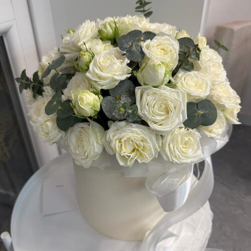 review-photo-before
