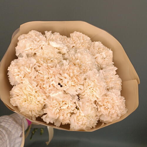 review-photo-before