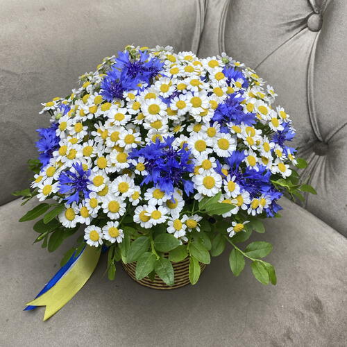 review-photo-before