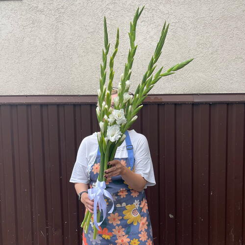 review-photo-before