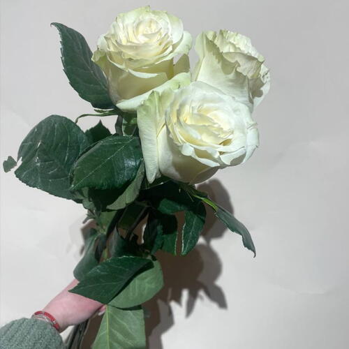 review-photo-before