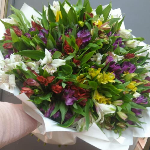 review-photo-before