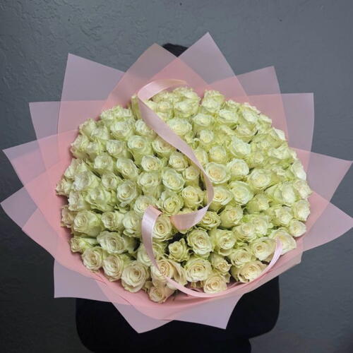review-photo-before