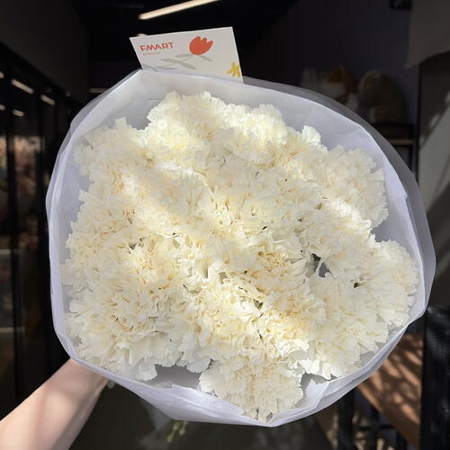 review-photo-before