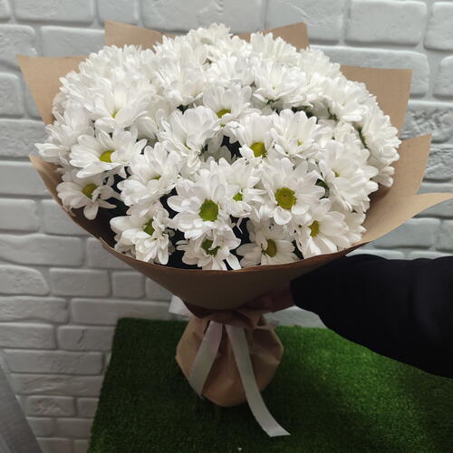 review-photo-before