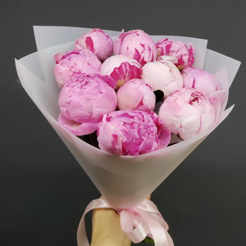 review-photo-before
