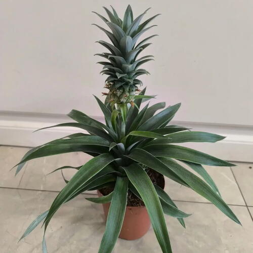 review-photo-before