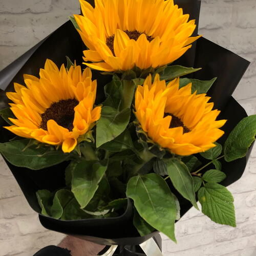 review-photo-before