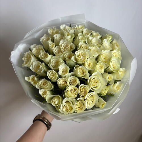 review-photo-before