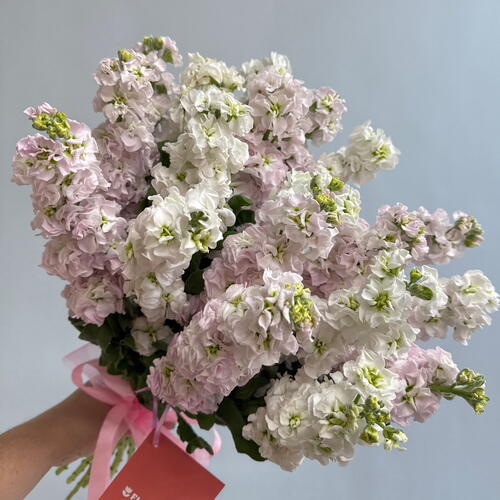 review-photo-before