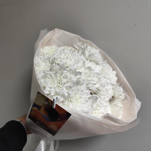 review-photo-before