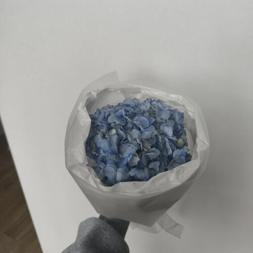 review-photo-before