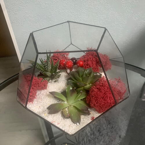 review-photo-before