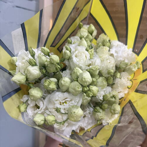 review-photo-before
