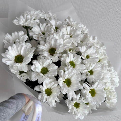 review-photo-before