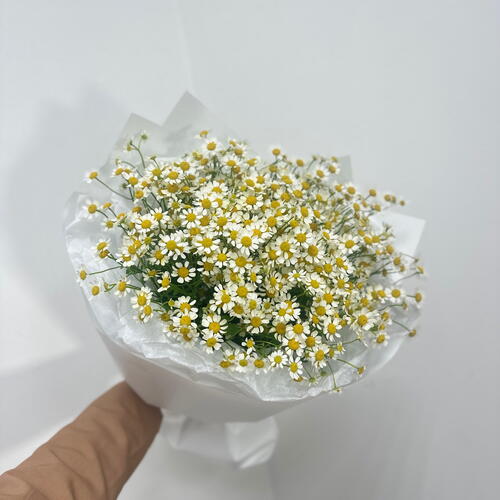 review-photo-before