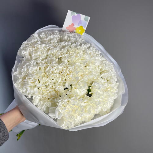 review-photo-before
