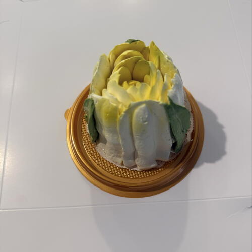 review-photo-before