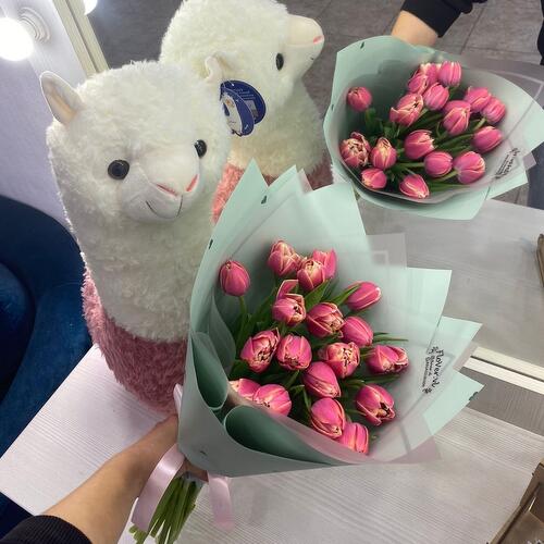 review-photo-before