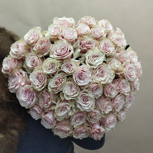 review-photo-before