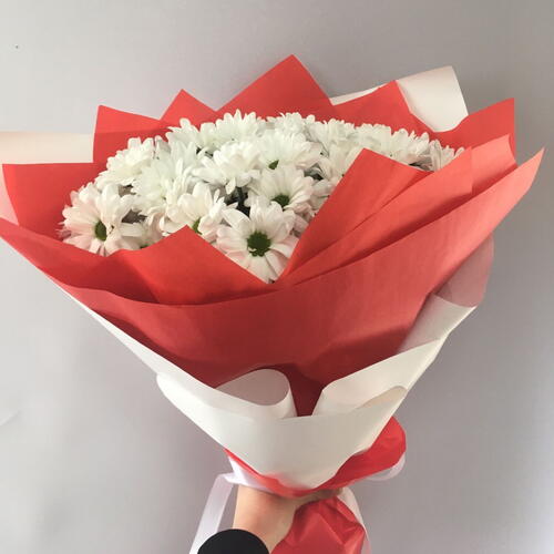 review-photo-before