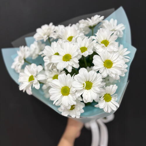 review-photo-before