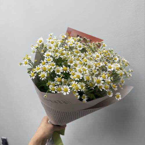 review-photo-before