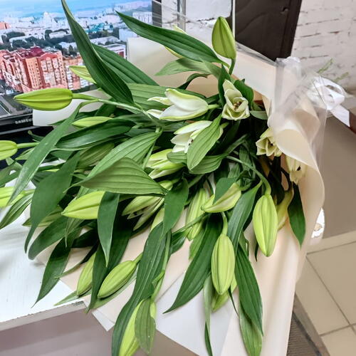 review-photo-before