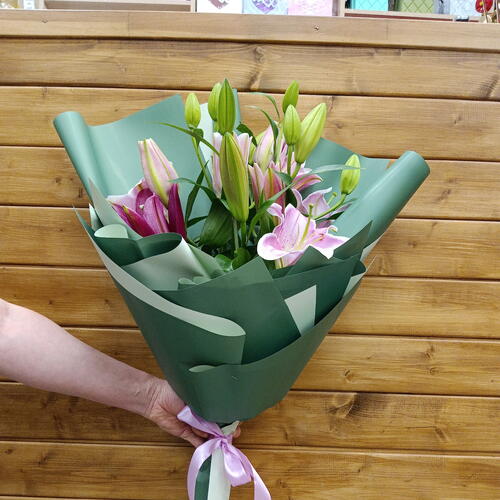 review-photo-before