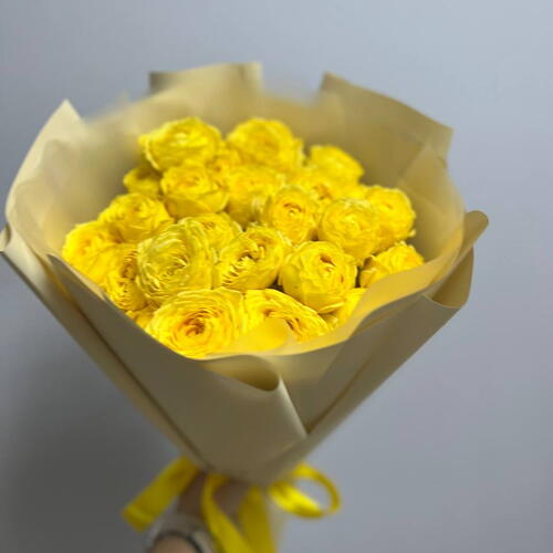 review-photo-before