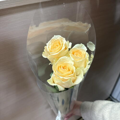 review-photo-before
