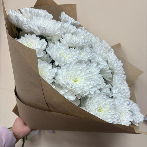 review-photo-before