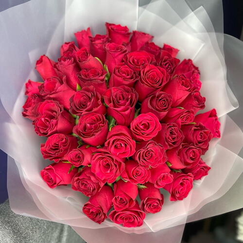 review-photo-before