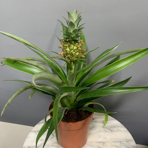 review-photo-before