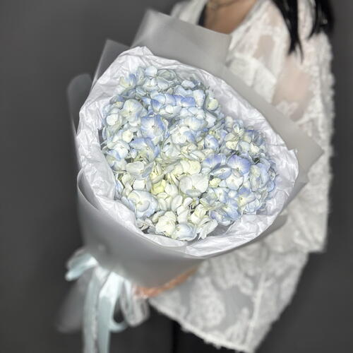 review-photo-before
