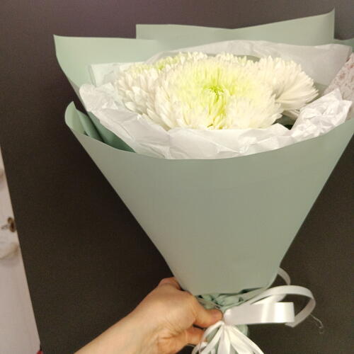 review-photo-before